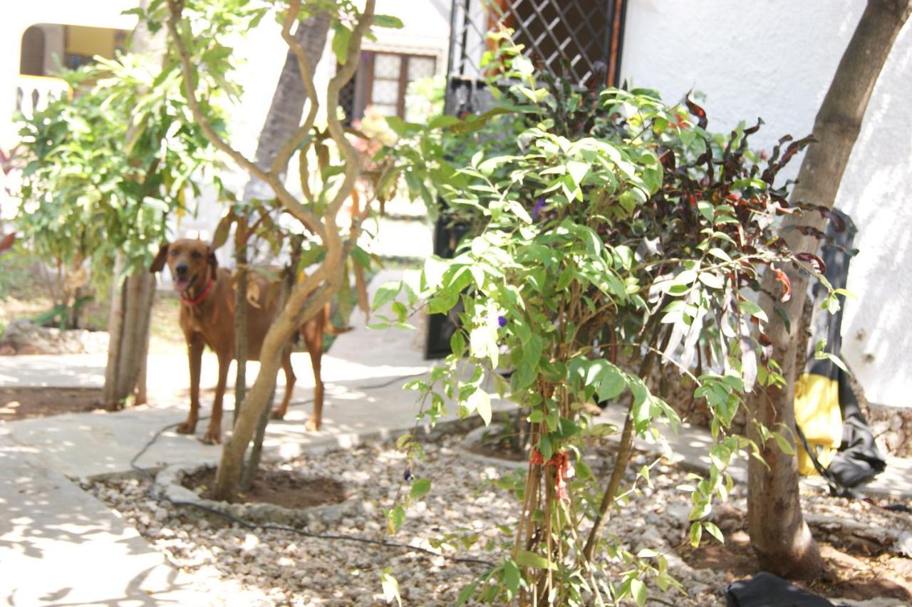 Luciano & Grace Apartments Watamu Eksteriør bilde