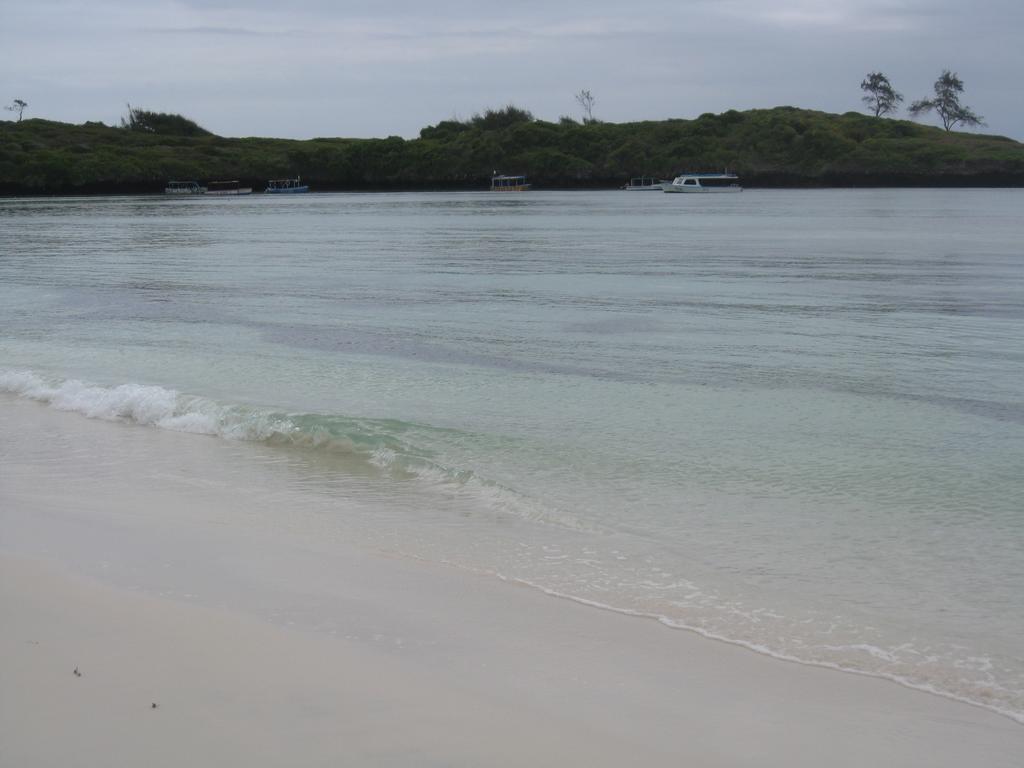 Luciano & Grace Apartments Watamu Eksteriør bilde